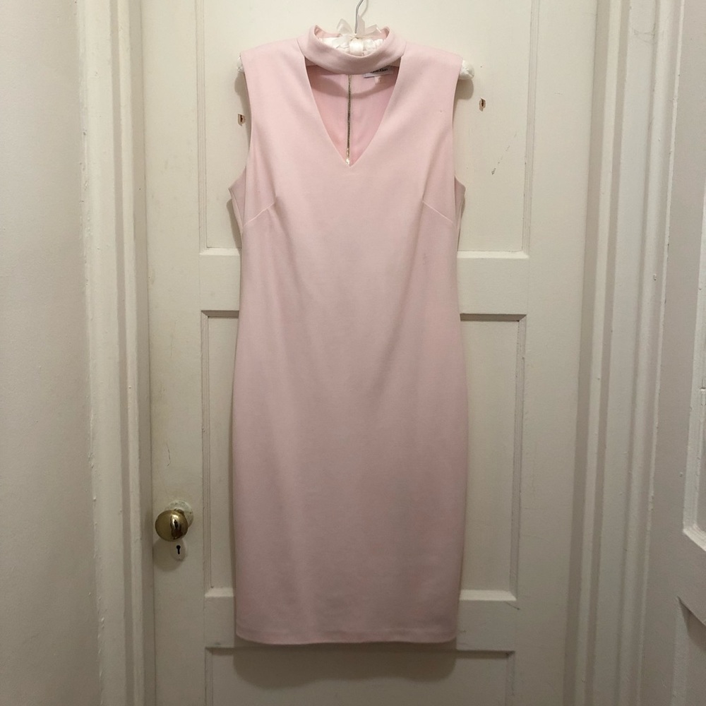 Calvin Klein Blush Pink Dress